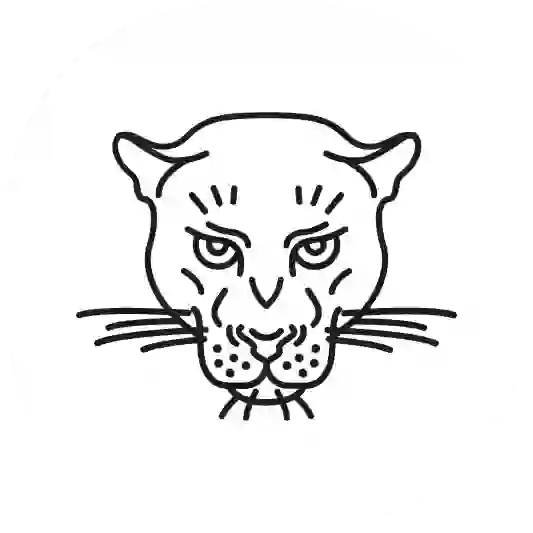 Agence La Panthère, agence web paris, création logo paris